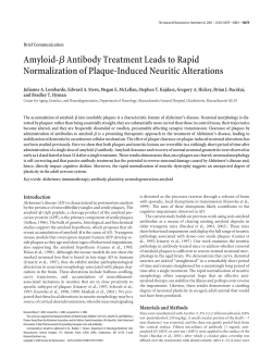 Amyloid-&szlig;Antibody Treatment Leads to Rapid Normalization of