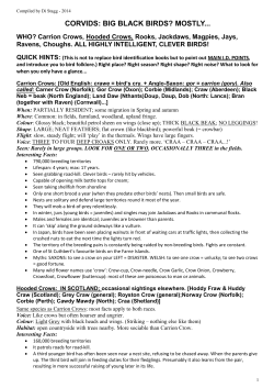 corvids: big black birds? mostly