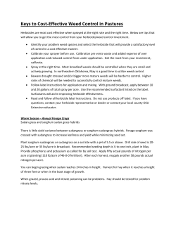 Keys to Cost-Effective Weed Control in Pastures