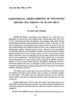 KARYOLOGICAL CHARACTERISTICS OF TWO HUMAN DIPLOID