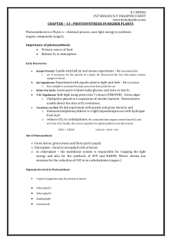 chapter &ndash; 13 : photosynthesis in higher plants