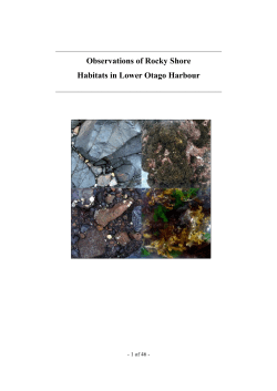 4 Harbour Rocky Shores (Paavo 2009)