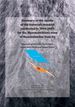 Research report: Material study for the MammuttiStone
