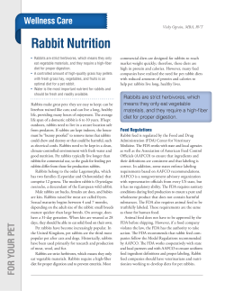 Rabbit Nutrition - Canyon Hill Animal Hospital