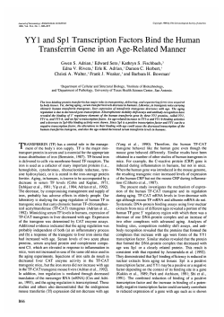 YY1 and Spl Transcription Factors Bind the Human Transferrin Gene