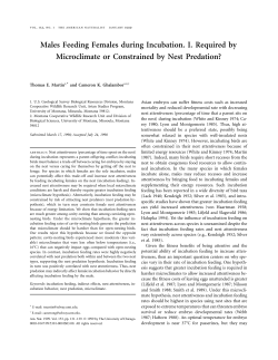 Males Feeding Females during Incubation. I. Required by