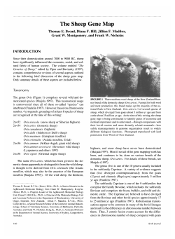 The Sheep Gene Map