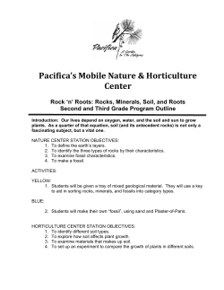 Rock n Roots Grades 2-3