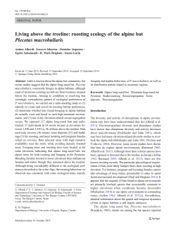 Living above the treeline: roosting ecology of
