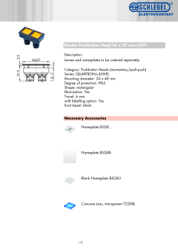 Double Pushbutton Head 54 x 27 mm LXJTT