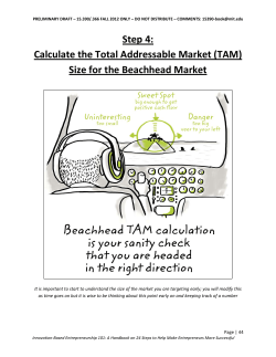 Step 4: Calculate the Total Addressable Market (TAM) Size for the