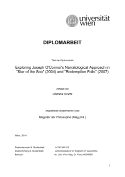 diplomarbeit - E