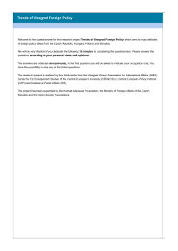 complete questionnaire - Trends of Visegrad Foreign Policy