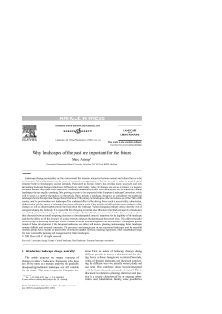 as a PDF