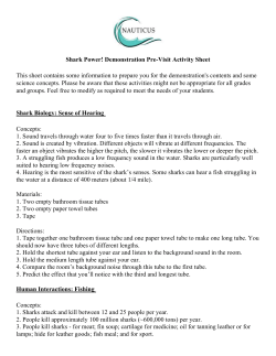Shark Power Demonstration Pre-Visit Activity Sheet