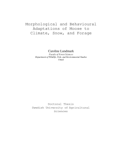 Morphological and Behavioural Adaptations of Moose to Climate