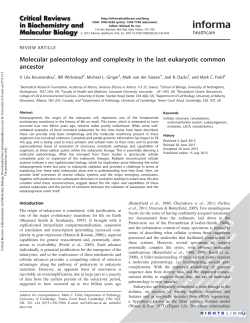 C:\Documents and Settings\mark\Desktop