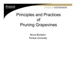 Principles and Practices of Pruning Grapevines