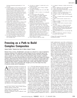 Freezing as a Path to Build Complex Composites