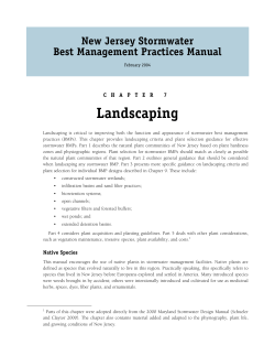 Landscaping - Stormwater Management