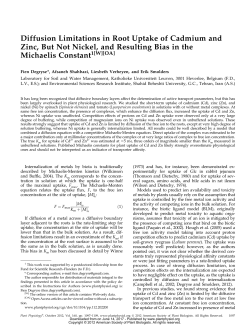 Diffusion Limitations in Root Uptake of Cadmium