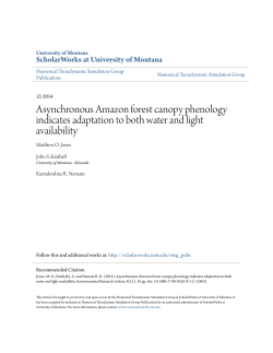 Asynchronous Amazon forest canopy phenology indicates