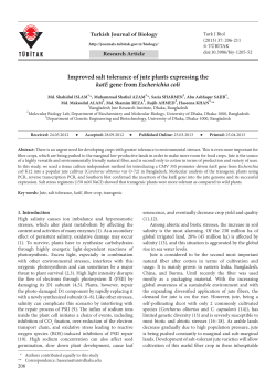 Improved salt tolerance of jute plants expressing the katE gene from