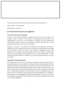 Environmental Perception and Judgement