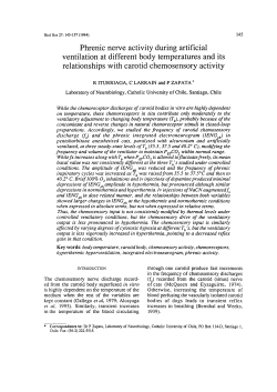 Phrenic nerve activity during artificial ventilation at different body