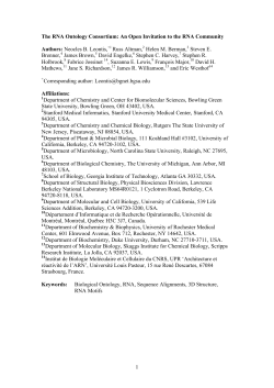 as a PDF - Duke SBB