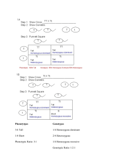Genotypic Ratio
