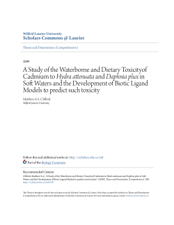 A Study of the Waterborne and Dietary Toxicityof Cadmium to Hydra