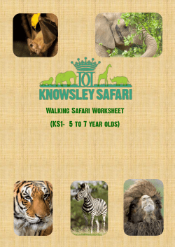 different - Knowsley Safari Park