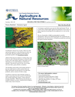 Factsheet - grassland crayfish - Lee County Extension