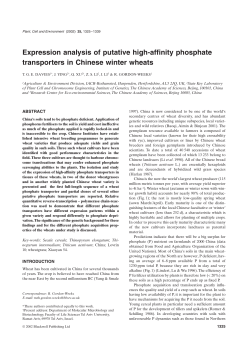 Expression analysis of putative high-affinity phosphate transporters