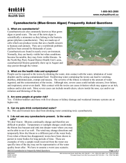 Fact Sheet on Blue Green Algae - the Municipality of East Ferris