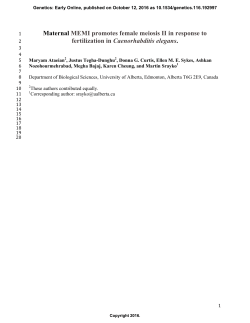 Maternal MEMI promotes female meiosis II in response to