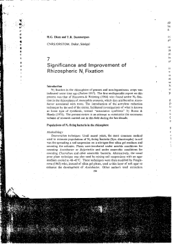 Significance and Improvement of Rhizosph&egrave;re - IRD