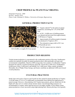 CROP PROFILE for PEANUTS in VIRGINIA
