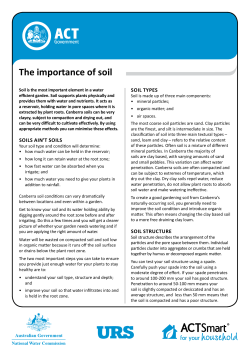 The importance of soil