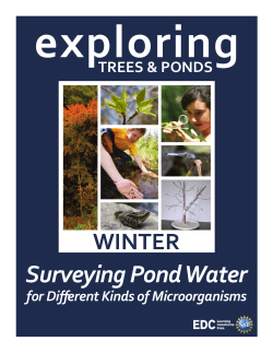 Surveying Pond Water for Different Microorganisms