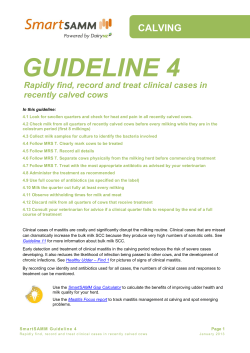 guideline 4