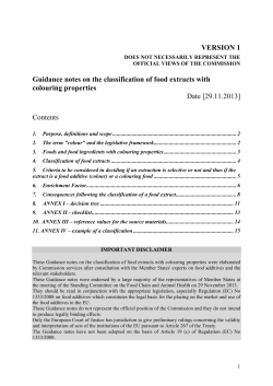 Guidance notes on the classification of food extracts