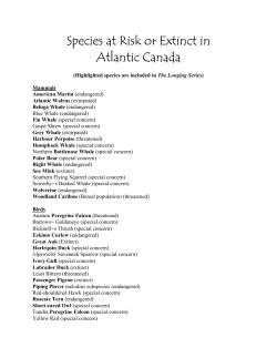 Species at Risk or Extinct in