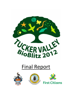 Final Report - UWI St. Augustine - The University of the West Indies