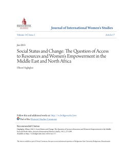 Social Status and Change: The Question of Access to Resources