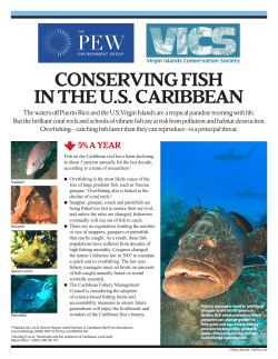 conserving fish in the us caribbean