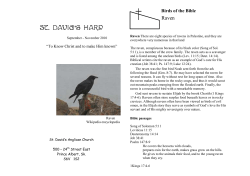 St. David `s Harp - St. David`s Anglican Church