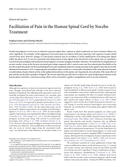 Facilitation of Pain in the Human Spinal Cord by Nocebo Treatment
