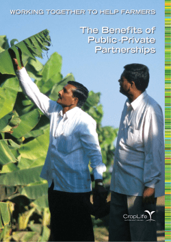 The Benefits of Public Private Partnerships